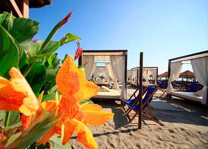 Waterfront Santa Clara